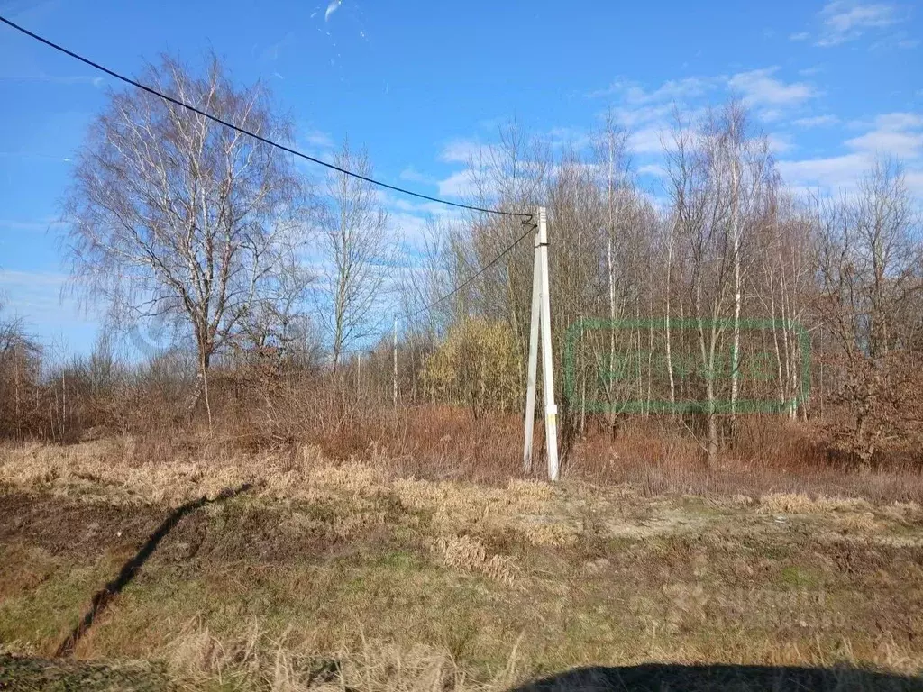 Участок в Калининградская область, Гурьевский муниципальный округ, ... - Фото 2