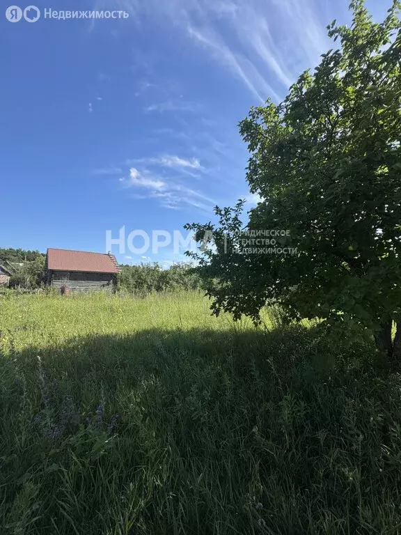 Участок в Октябрьский, СТ Акташ, 106 (4.88 м) - Фото 2