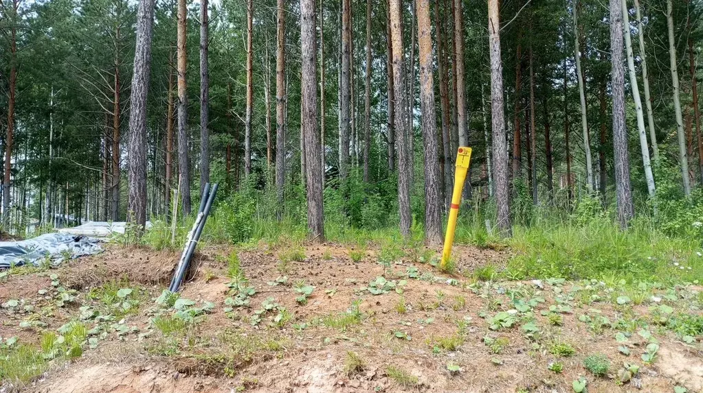 Участок 9,6 сот. (ИЖС) - Фото 0