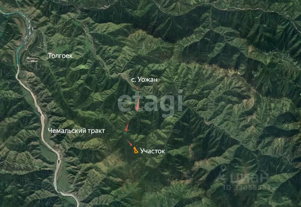 Участок в Алтай, Чемальский район, с. Еланда Новая ул. (662.6 сот.) - Фото 1
