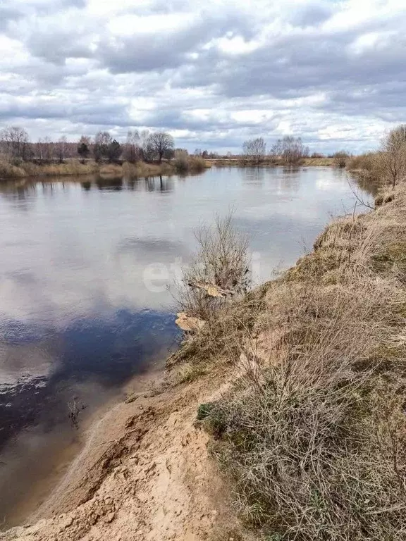 Участок в Ярославская область, Ярославский муниципальный округ, ... - Фото 1