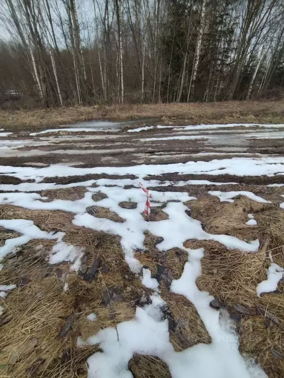 Участок в Ленинградская область, Тосненский район, Любанское городское ... - Фото 0