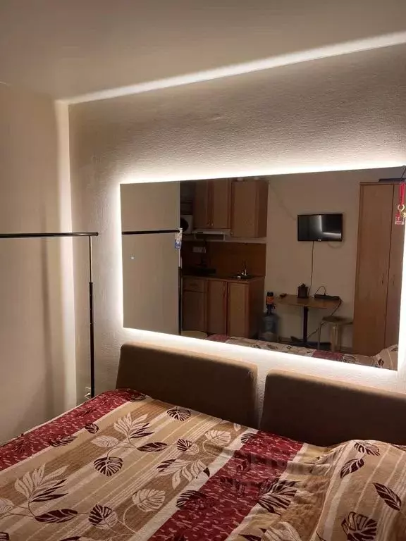 Студия Санкт-Петербург ул. Руднева, 3К2 (14.0 м) - Фото 0