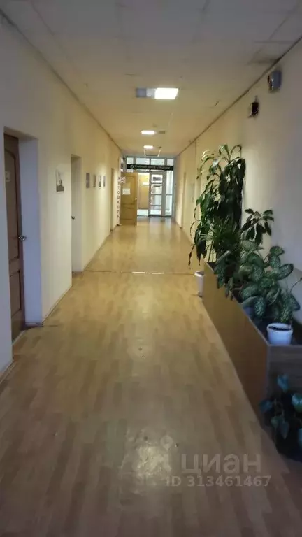 Офис в Вологодская область, Вологда ул. Горького, 91 (31 м) - Фото 0