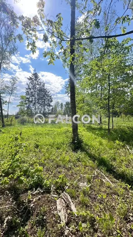Участок 6,3 сот. (ИЖС) - Фото 1