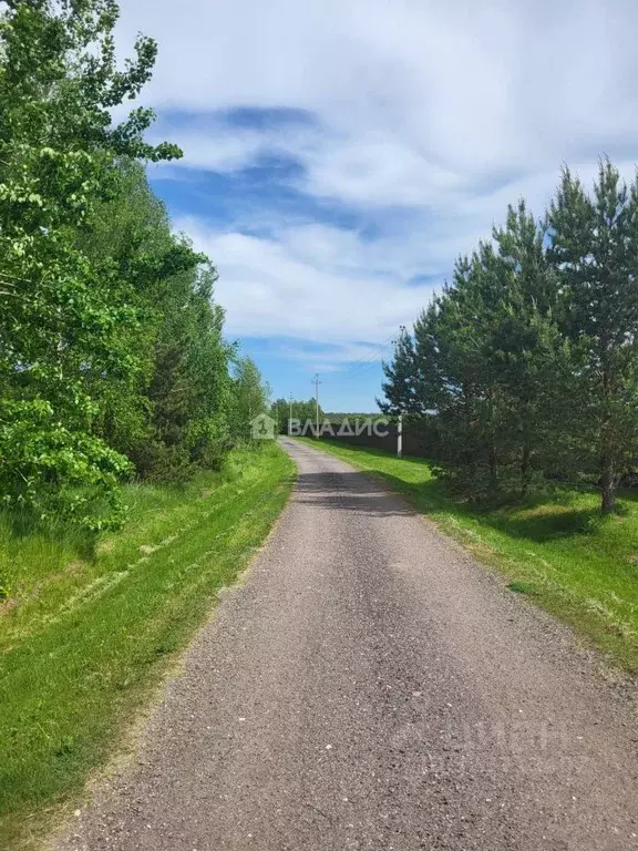 Участок в Владимирская область, Суздальский район, Павловское ... - Фото 2