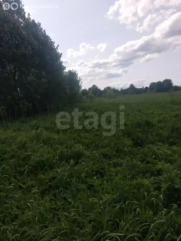 Участок в Талдомский городской округ, деревня Сущёво (20 м) - Фото 1