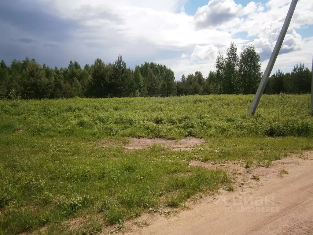 Участок в Новгородская область, Валдайский район, Едровское с/пос, д. ... - Фото 2
