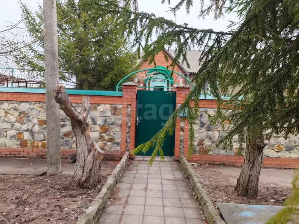 Дом в Воронежская область, Борисоглебск Бланская ул., 65 (107 м) - Фото 1