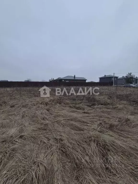 Участок в Воронежская область, Новоусманский район, с. Бабяково ... - Фото 1