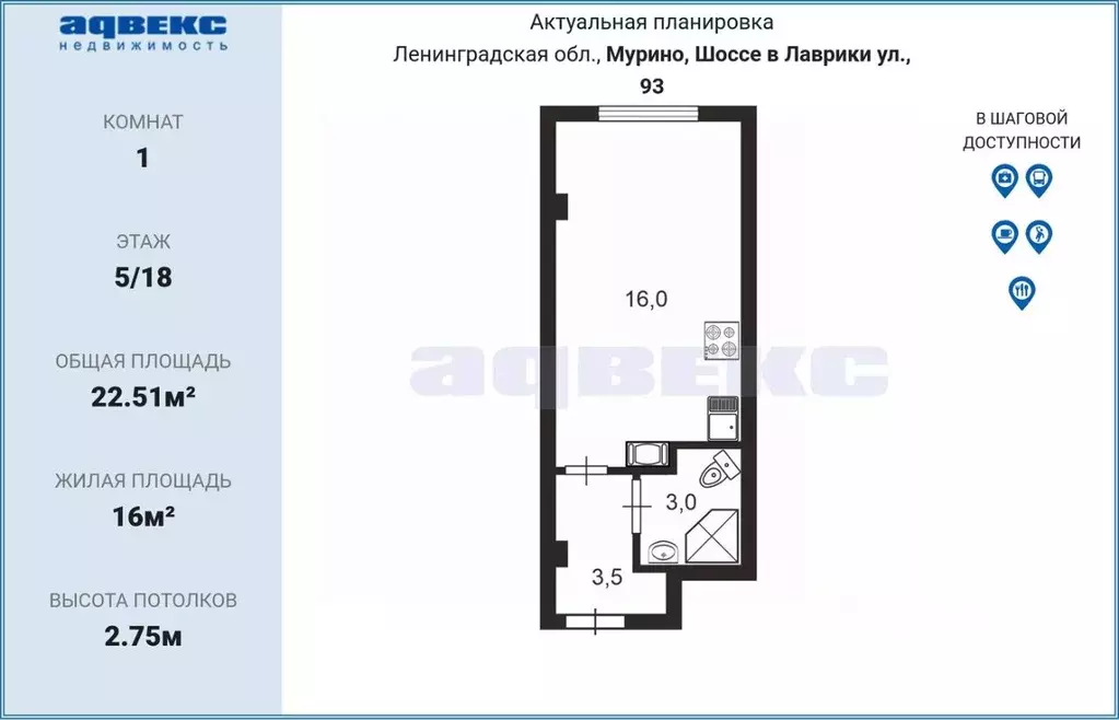 Студия Ленинградская область, Мурино Всеволожский район, ул. Шоссе в ... - Фото 1