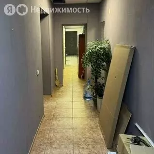 Помещение свободного назначения (287 м) - Фото 2