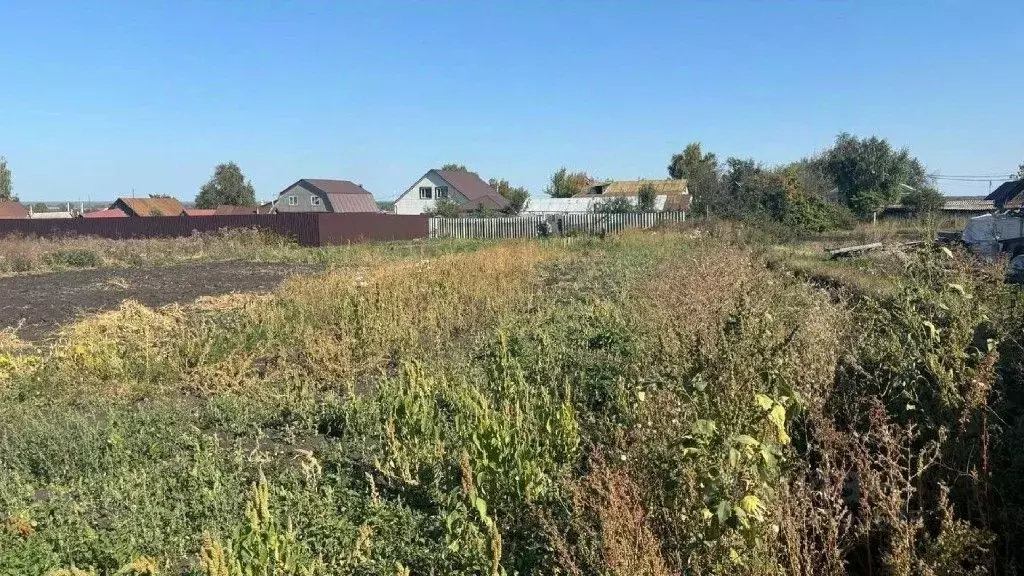 Участок в Пензенская область, с. Бессоновка ул. Свободная, 2А (11.0 ... - Фото 2