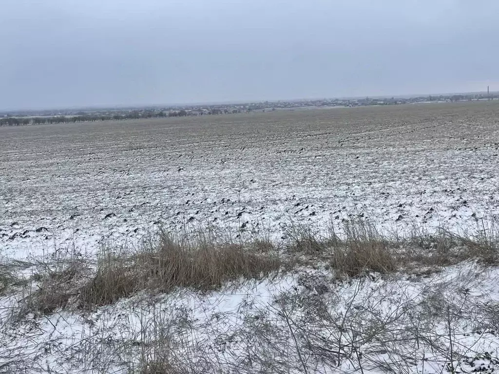 Участок в Крым, Советский район, с. Ильичево ул. Садовая (748.24 сот.) - Фото 2