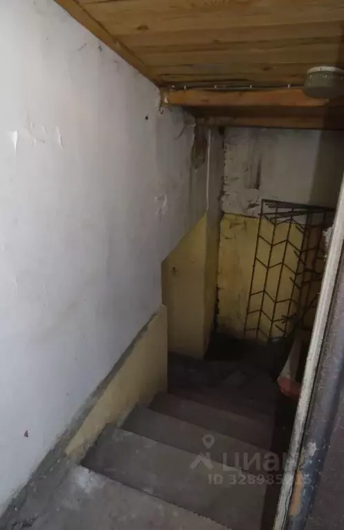 Помещение свободного назначения в Новосибирская область, Новосибирск ... - Фото 1