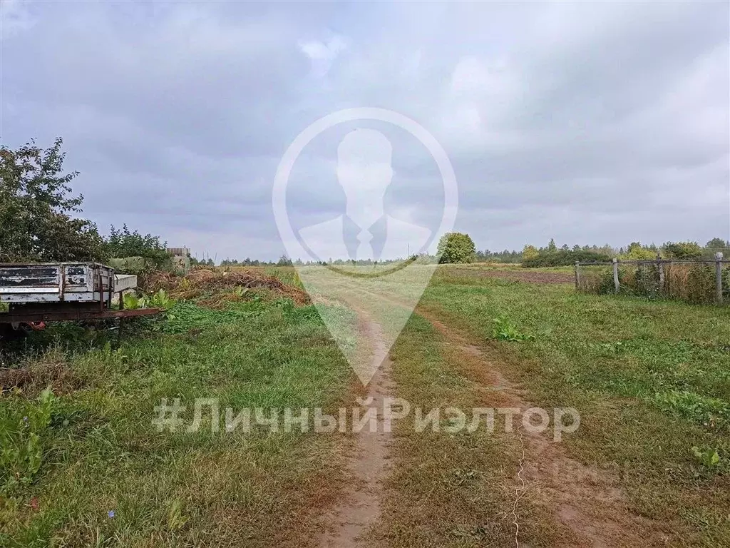 Участок в Рязанская область, Скопинский район, с. Вослебово Полевая ... - Фото 1