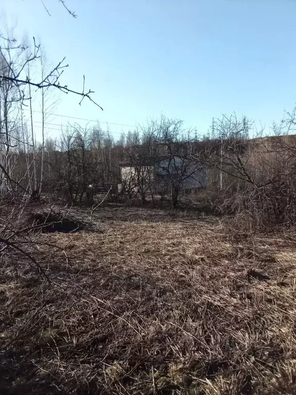 Участок в Нижегородская область, Нижний Новгород Культура СНТ, 36 (6.0 ... - Фото 2