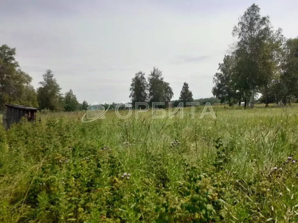 Участок в Тюменская область, Нижнетавдинский район, Лебедушка СПК  ... - Фото 1