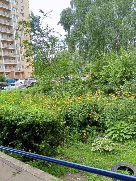 1-к. квартира, 25 м, 3/9 эт. - Фото 1