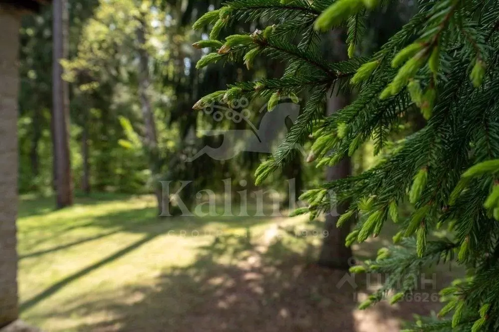 Участок в Московская область, Одинцовский городской округ, пос. ... - Фото 1