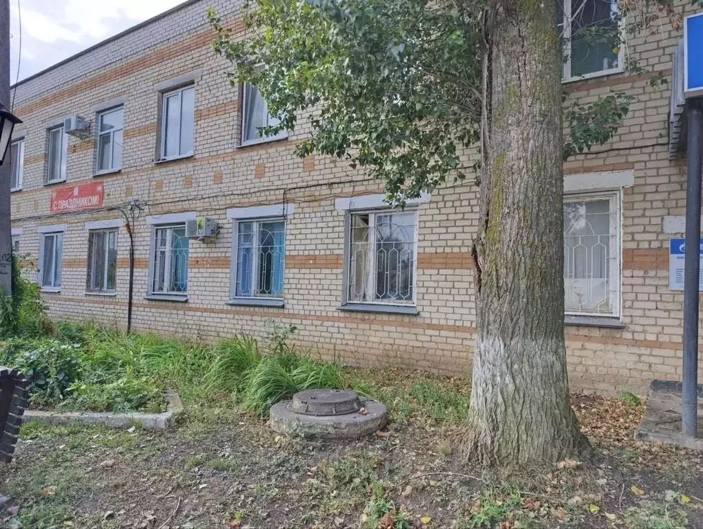 Помещение свободного назначения в Самарская область, Красноармейское ... - Фото 0