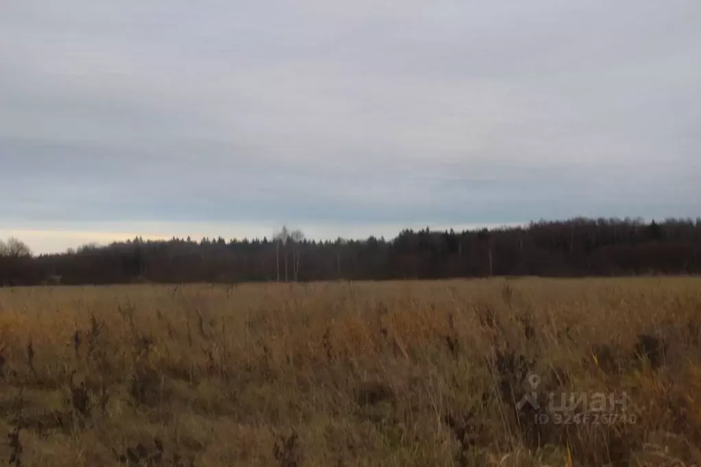 Участок в Московская область, Шаховская муниципальный округ, с. Белая ... - Фото 1