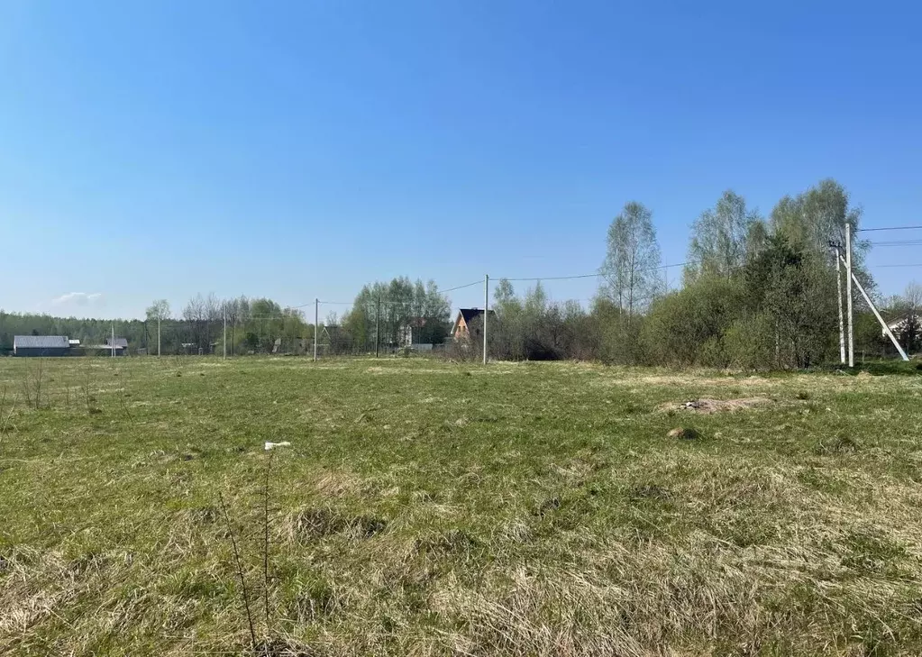 Участок в Московская область, Богородский городской округ, д. Тимково ... - Фото 1