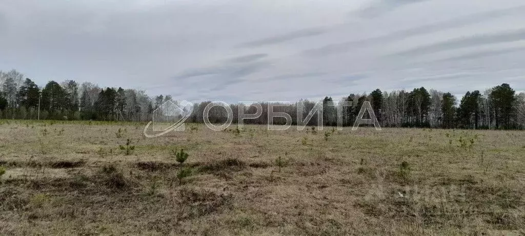 Участок в Тюменская область, Тюменский район, Новокаменский кп  (10.0 ... - Фото 1