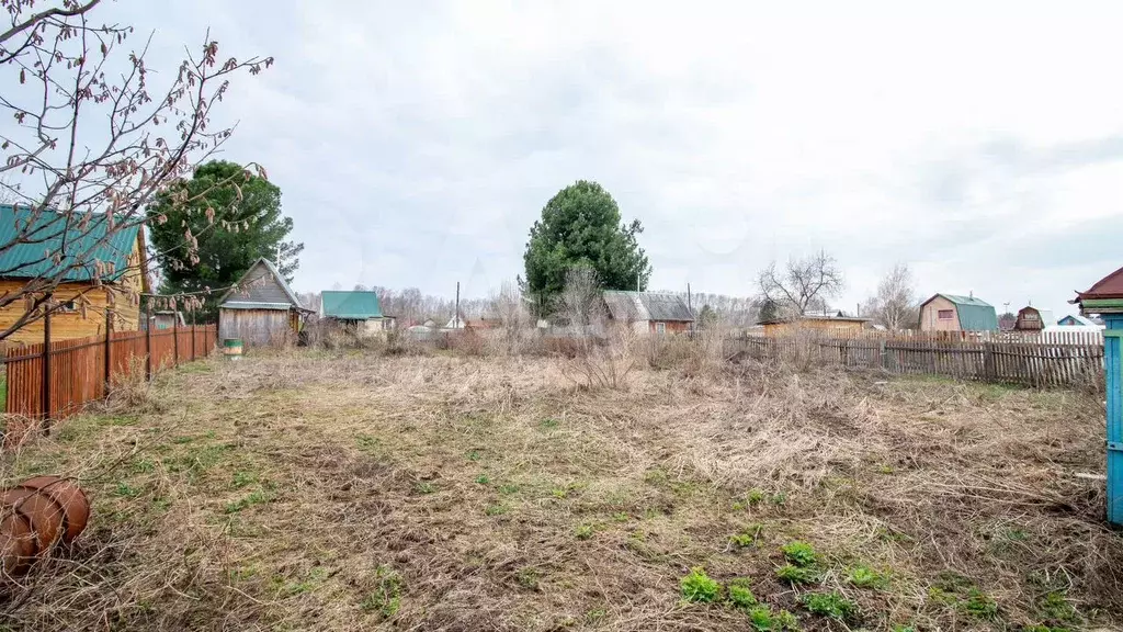 Участок 6 сот. (СНТ, ДНП) - Фото 0