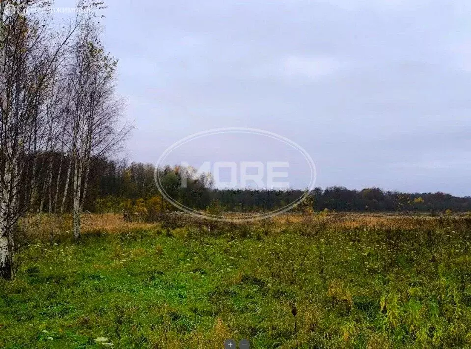 Участок в Калининградская область, Гурьевский муниципальный округ, ... - Фото 1