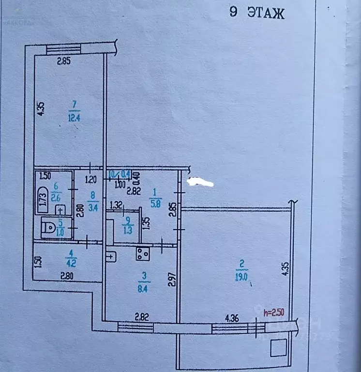 2-к кв. Алтайский край, Барнаул ул. Попова, 61/235 (58.5 м) - Фото 1