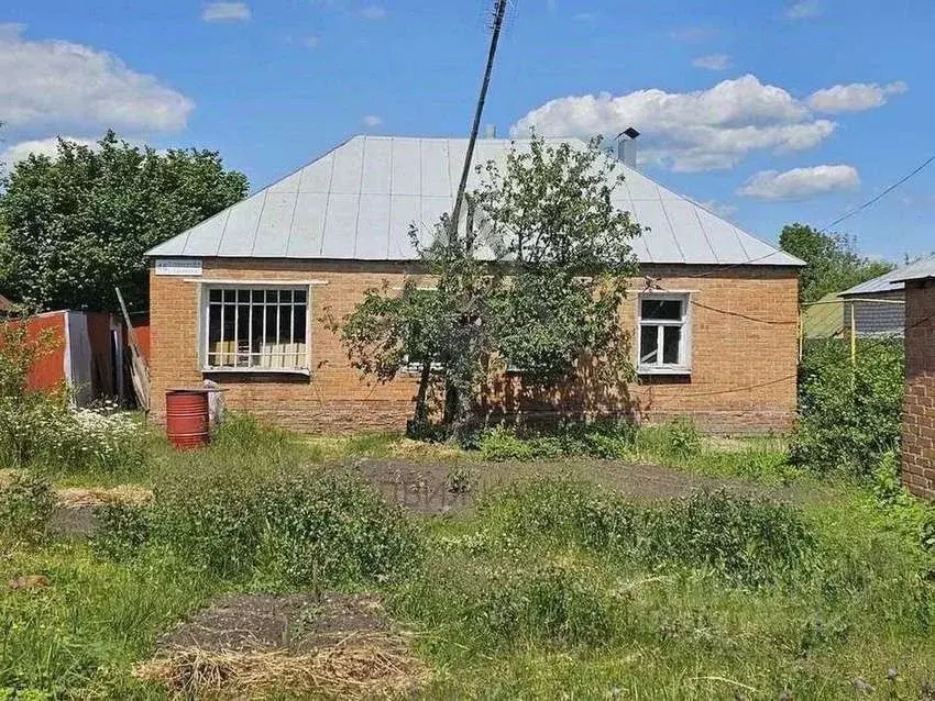 Дом в Воронежская область, Верхнехавский район, с. Углянец ул. ... - Фото 1