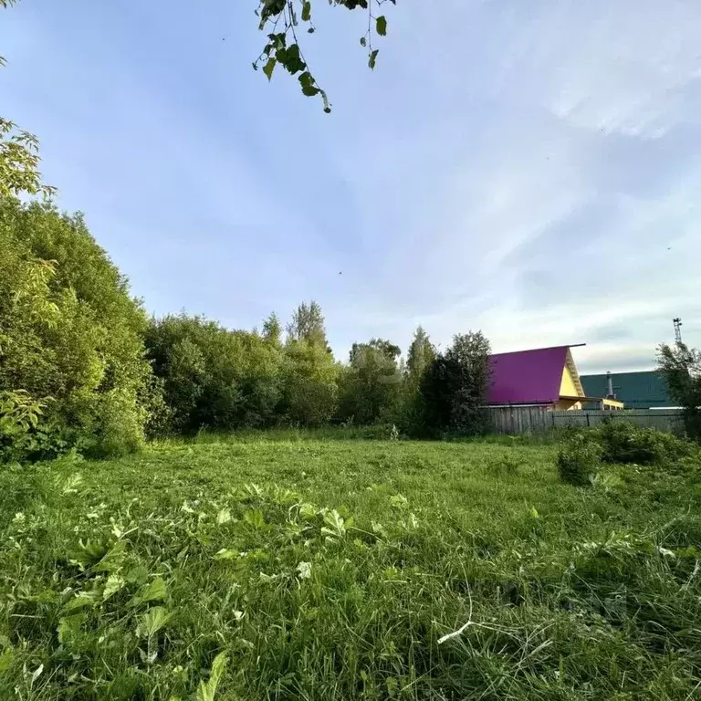 Участок в Пермский край, Добрянский муниципальный округ, д. Пеньки ... - Фото 2