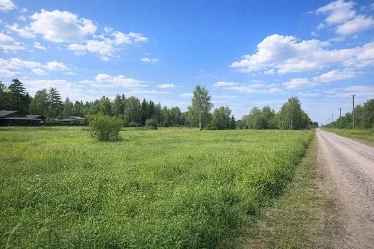 Участок в Московская область, Солнечногорск городской округ, д. Покров ... - Фото 2