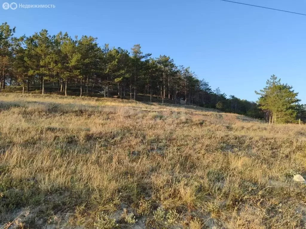 Участок в Бахчисарайский район, село Скалистое (1.511 м) - Фото 2