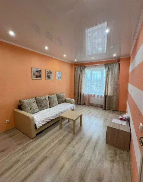 1-к кв. Псковская область, Псковский район, Завеличенская волость, д. ... - Фото 2