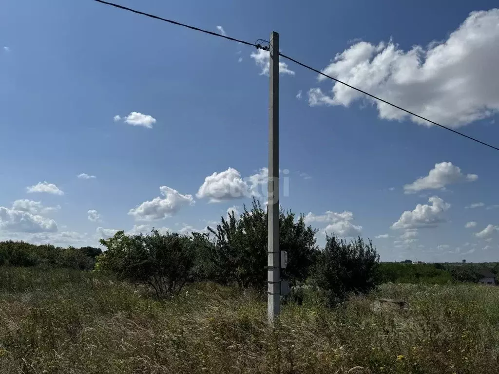 Участок в Белгородская область, Строитель Яковлевский городской округ, ... - Фото 0