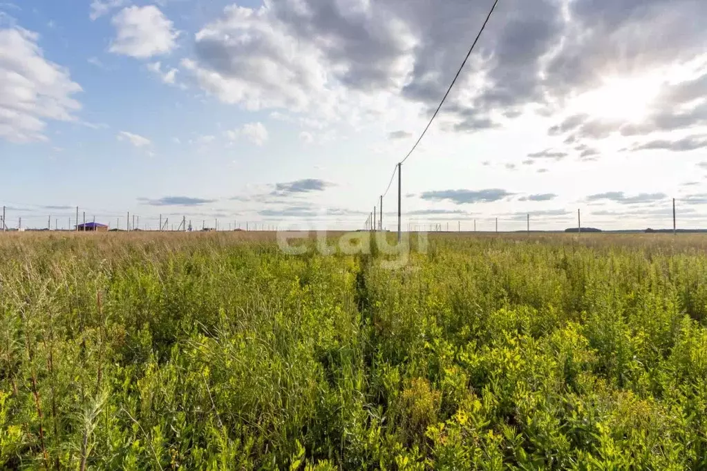 Участок в Тюменская область, Тюменский муниципальный округ, д. ... - Фото 1