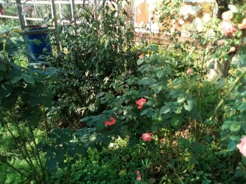 Дом в хутор Ленина, улица Мичурина, 33 (90 м) - Фото 0