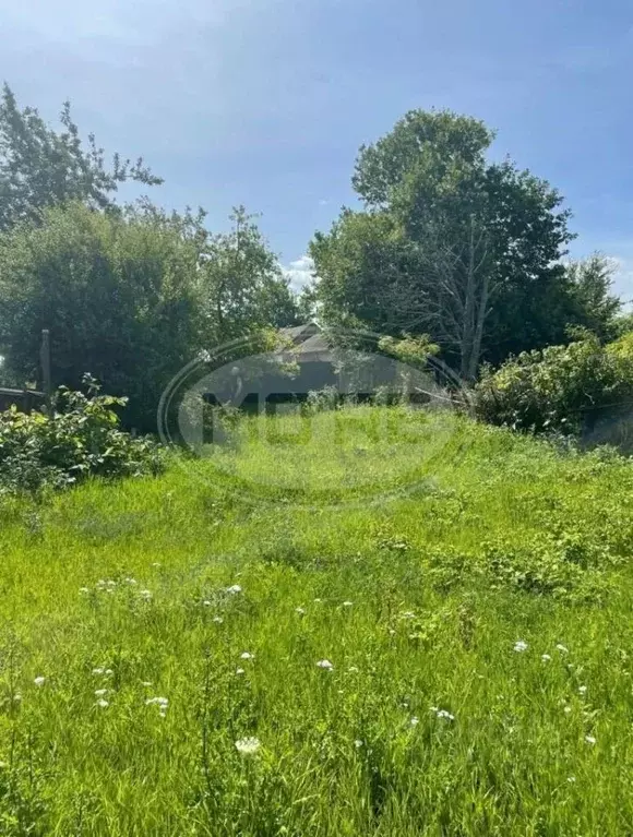 Участок в Калининградская область, Пионерский Пограничный пер. (6.0 ... - Фото 2