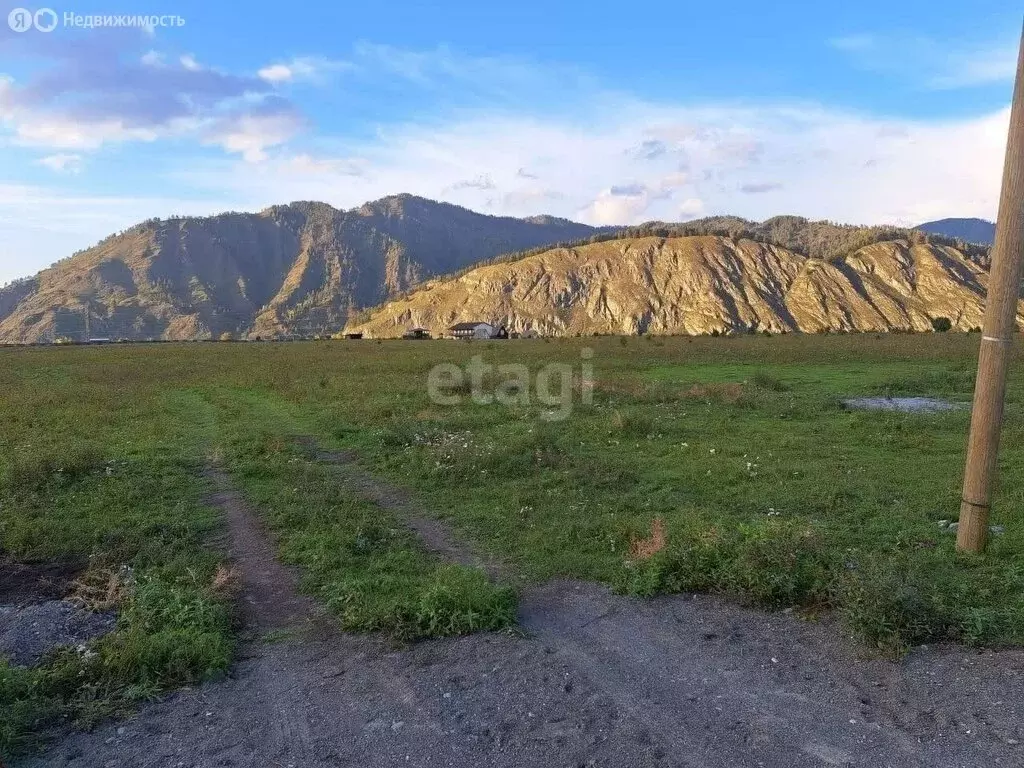 Участок в Чемальский район, село Анос (100 м) - Фото 1