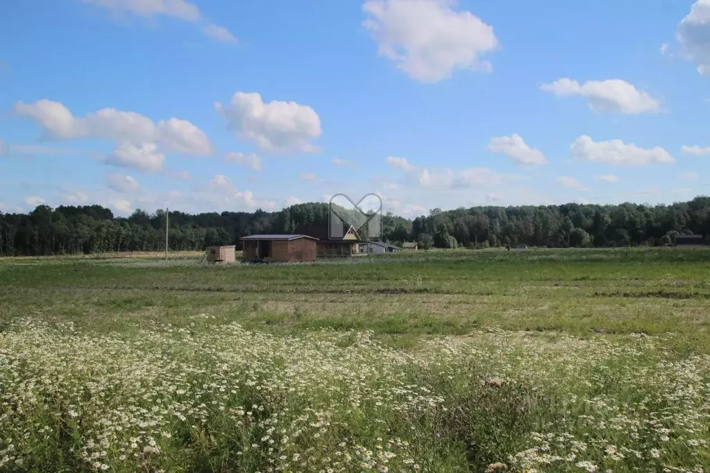 Участок в Ленинградская область, Ломоносовский район, Лопухинское ... - Фото 1