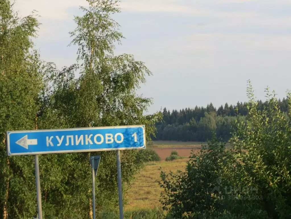 Участок в Ивановская область, Ивановский район, Куликовское с/пос, д. ... - Фото 0