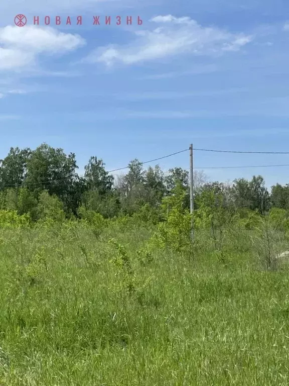 Участок в Самарская область, Кинель Радуга кп, проезд Конный (5.0 ... - Фото 1