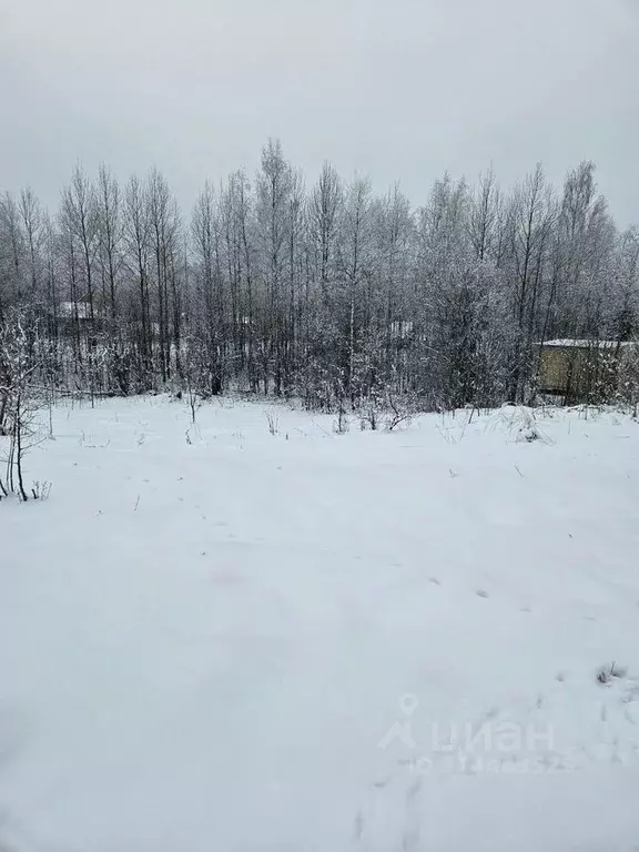 Участок в Новгородская область, Валдай 1-я Братская ул. (10.0 сот.) - Фото 1