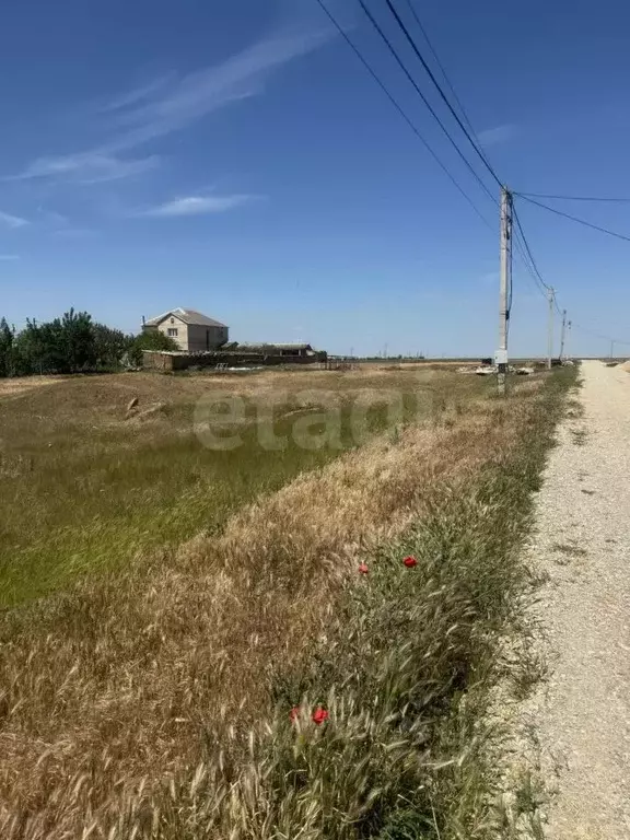Участок в Крым, Сакский район, с. Лесновка ул. Урожайная (10.12 сот.) - Фото 1