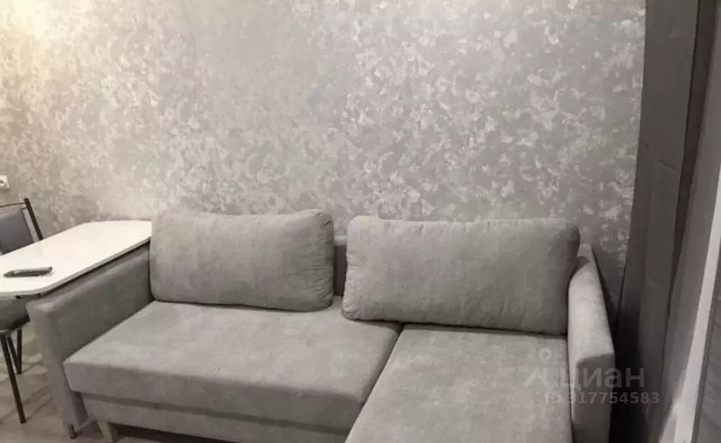 Студия Кировская область, Киров ул. Ивана Попова, 38 (25.0 м) - Фото 1