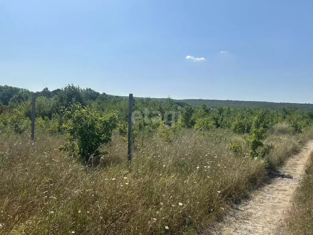 Участок в Краснодарский край, Новороссийск городской округ, ... - Фото 0