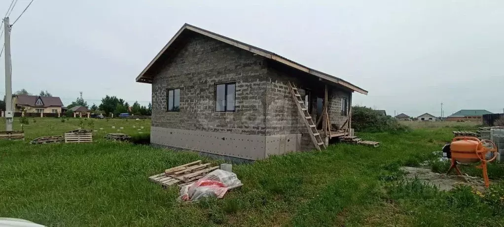 Дом в Омская область, Омский район, с. Дружино, Микрорайон ... - Фото 0