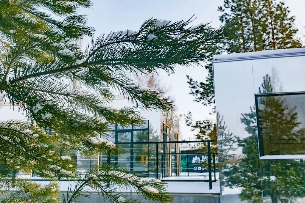 Дом в Башкортостан, Нефтекамск Янаульская ул., 5А (72 м) - Фото 2